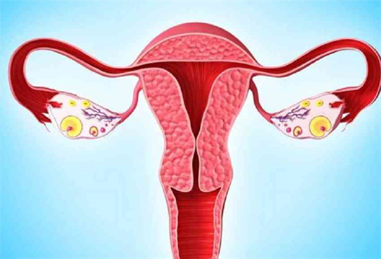 导致不孕的因素有哪些？月经不调与不孕症有关吗？