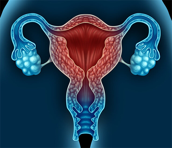 卵巢性不孕可由多种因素引起？女性不孕不育检查项目？