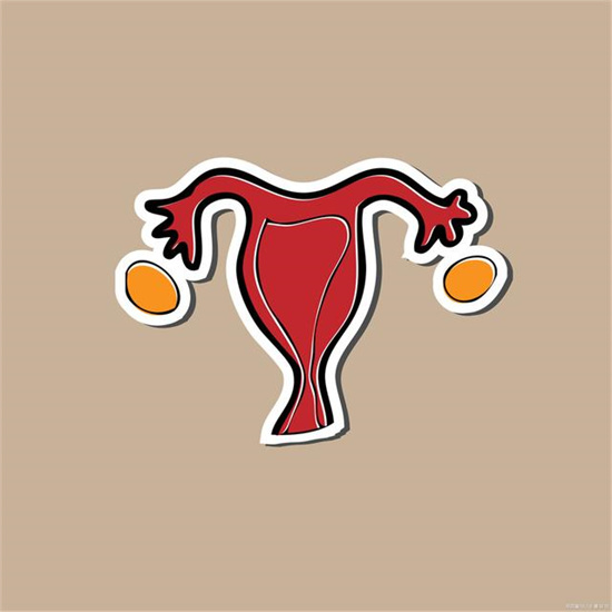 女胎翻转男胎的迹象，男胎和女胎的区别！