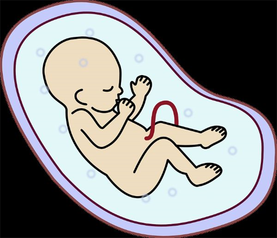 怀男孩时最明显的胎动，怀男孩和怀女孩时乳房的变化有何不同？