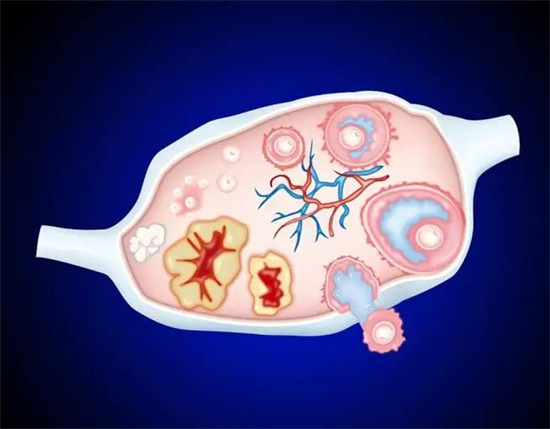 异常精子是什么意思？哪些因素会影响到精子的正常？