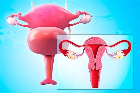 备孕时需要警惕的六种食物，以及精子数量少如何备孕更好？