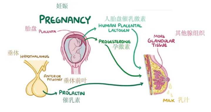 2025年在丽水人民医院做试管婴儿要花多少钱