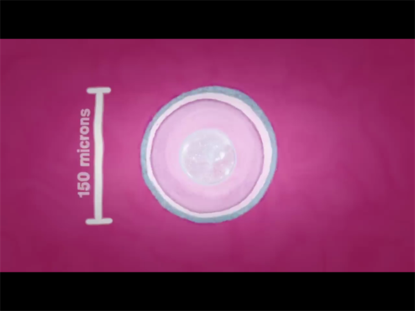 南昌市生殖医院做试管，成功率怎么样？