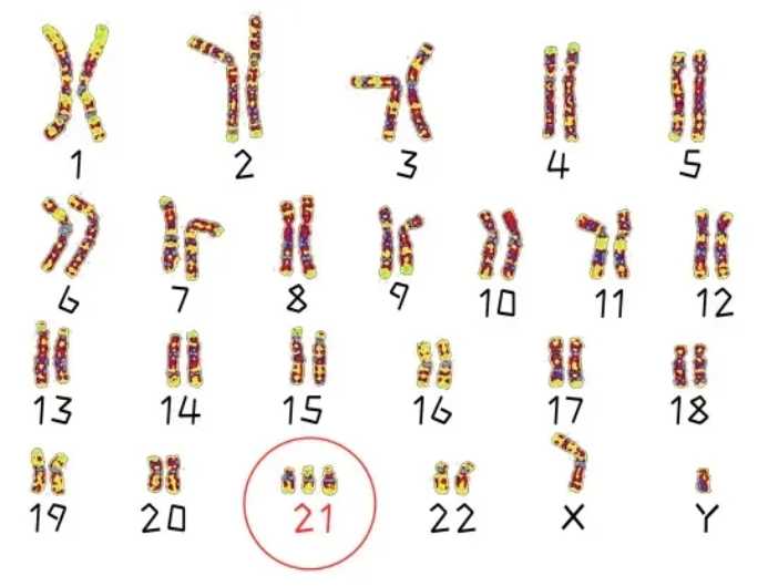 四十多岁还能做第三代试管婴儿吗？过来人分享真实经验