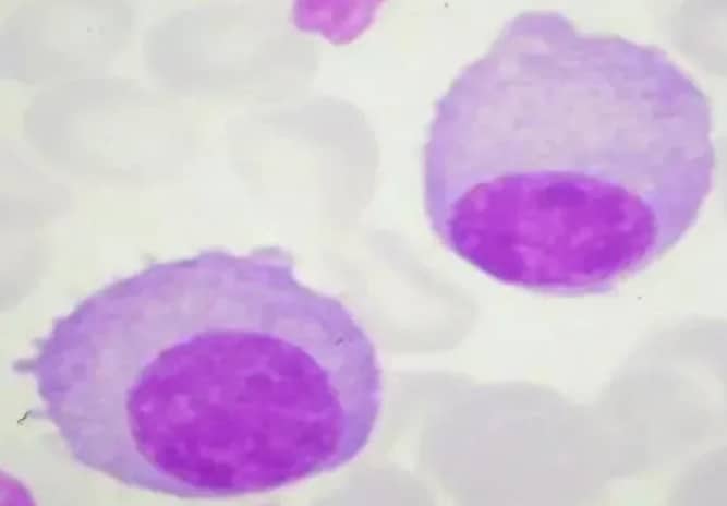 怎么选一家靠谱的私立医院做试管婴儿？