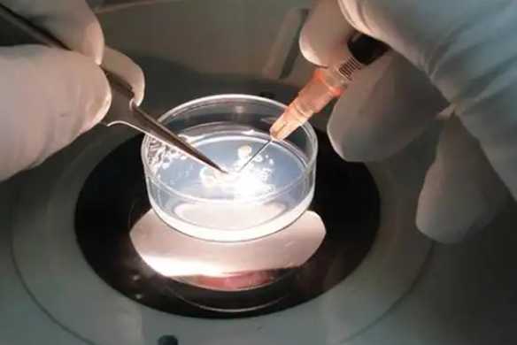 40岁做三代试管婴儿，成功率到底怎么样？