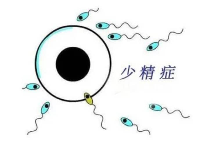 40岁做三代试管是不是比二代更容易成功