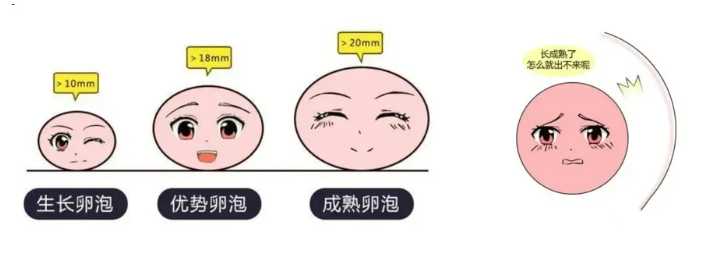 子宫内膜异位症带来的麻烦