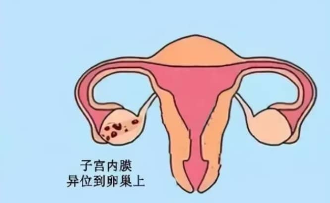 老公少精弱精怎么调理身体