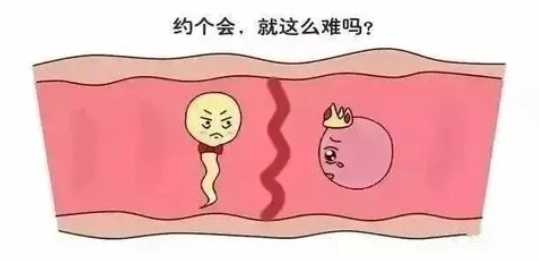 北京做试管婴儿，私立医院怎么选？