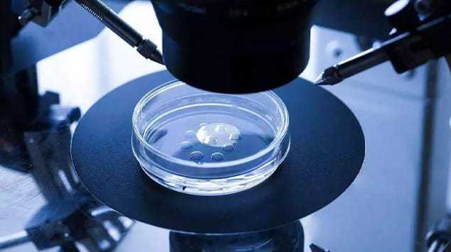 选试管婴儿医院，公立和私立到底怎么挑？