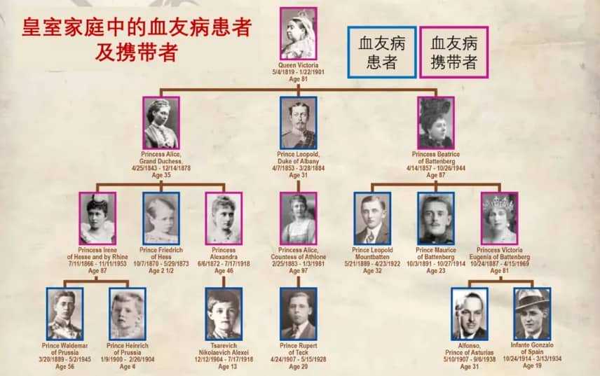 在广州想生男孩，可以找谁帮忙