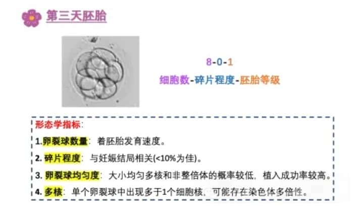 广州哪些医院能做三代试管选男孩