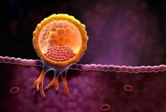 国内做三代试管供卵大概要花多少钱