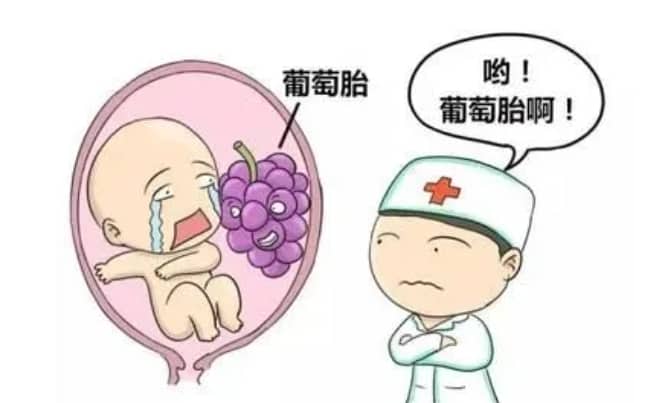 47岁以上的女人，还能做试管婴儿吗？