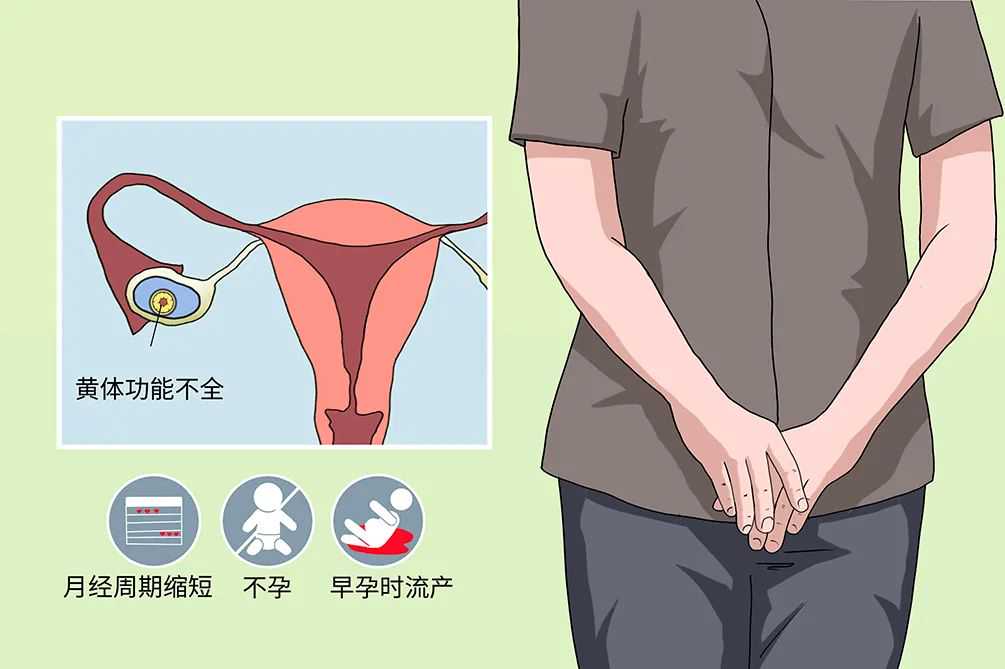 三代试管能筛查红斑狼疮吗？