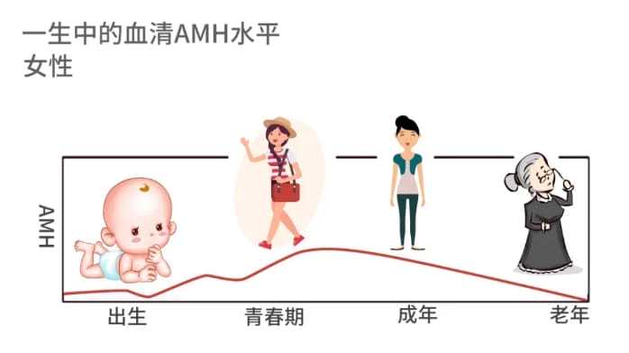 45岁做试管婴儿，还有机会成功吗