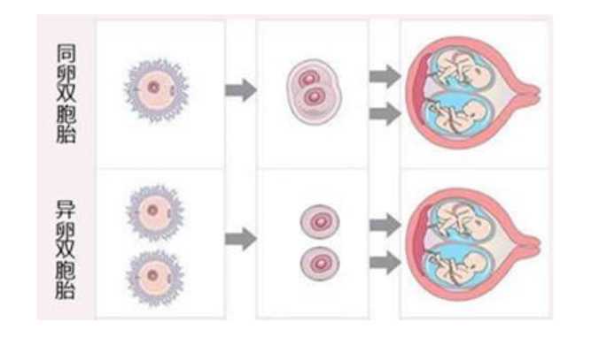 46岁做三代试管婴儿，成功率怎么样