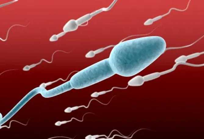 47岁做试管婴儿，成功的机会有多大