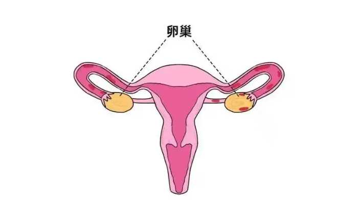 47岁做三代试管婴儿，真的能成功吗？