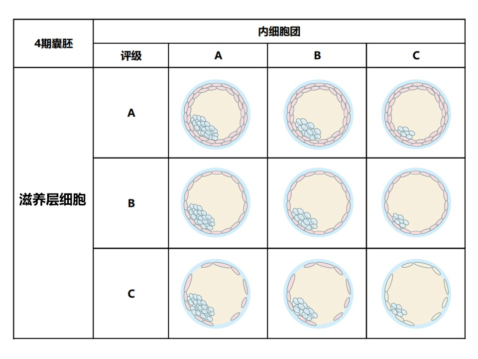 聊聊三代试管PGS的那些事儿