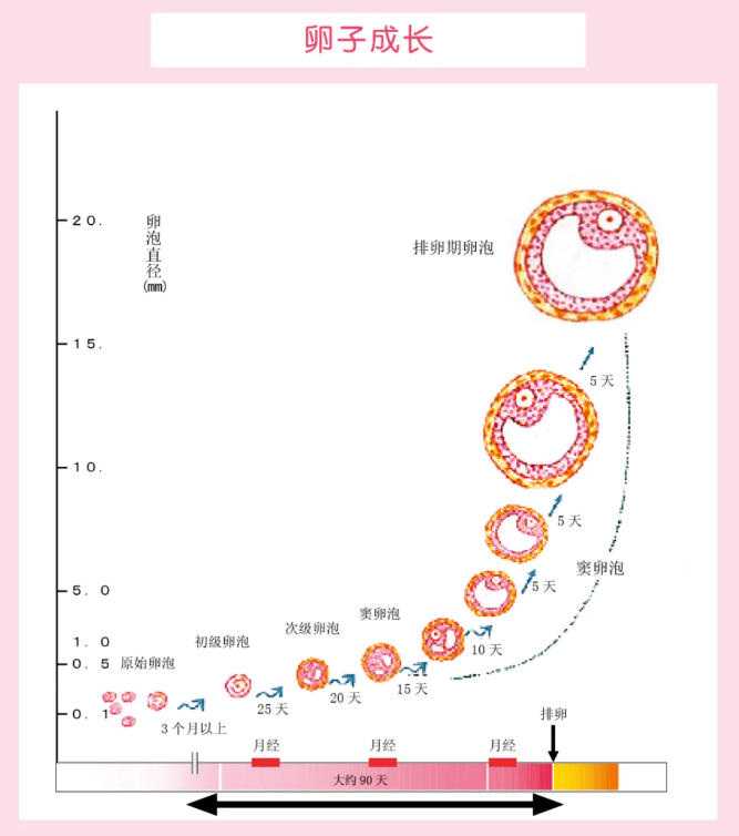 第三代试管婴儿是怎么帮我们生个健康宝宝的