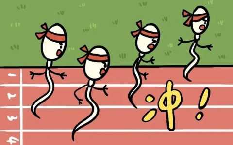 第三代试管婴儿筛查有多准