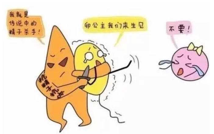 做第三代试管婴儿，女性会经历些什么