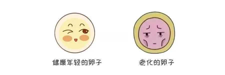 弓形子宫做试管，成功率到底怎么样