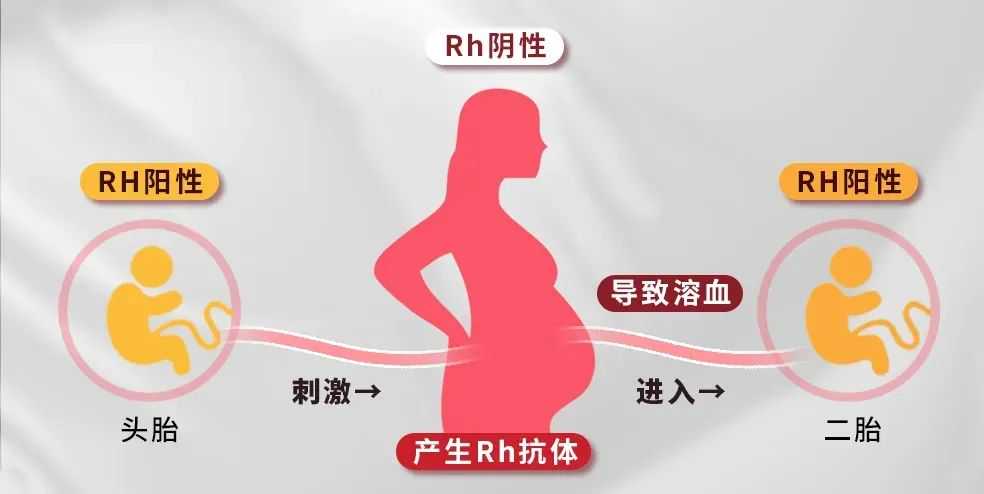 弓形子宫做试管，怎么让胚胎更容易着床