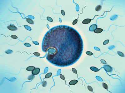 供精试管婴儿技术全解析