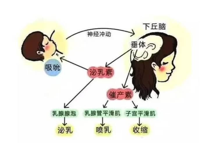 供精试管婴儿费用明细，看完心里有数