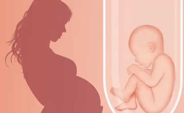 供精试管三代还需要做胚胎筛选吗？