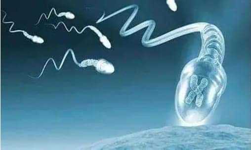 供精试管婴儿医院怎么选