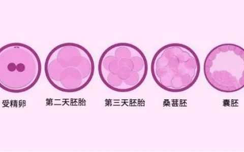  广州哪家私立医院做试管成功率高？能筛查基因问题吗？