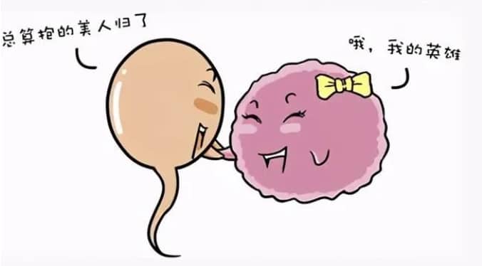 试管婴儿冷冻胚胎要花多少钱