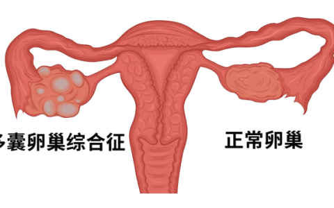 冷冻胚胎怎么收费，到底有什么用