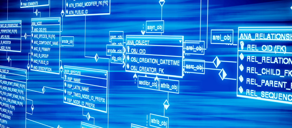做试管婴儿前同房影响可不小，当心降低移植成功率
