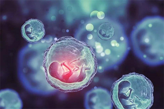 孕期唐氏筛查和无创DNA哪个更有优势？二者有什么区别？