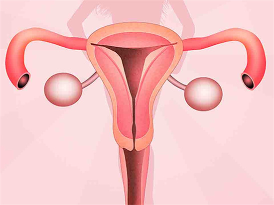 卵巢囊肿必做的检查项目有哪些？良性卵巢囊肿有什么症状表现