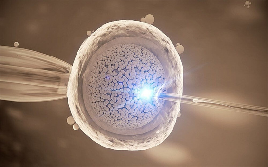 揭秘精子活力低的原因 备孕精子活力差怎么办