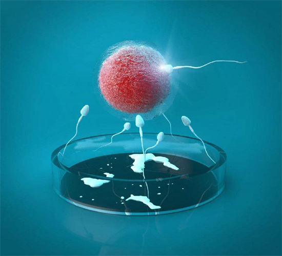 精子成活率低受孕的几率大吗 精子成活率低怎么调理？
