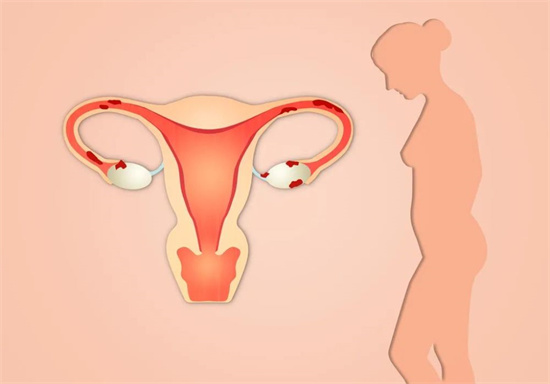 备孕期间吃什么补孕酮？O型血怎么备孕？