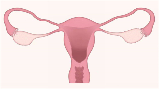 究竟是什么原因导致女性不孕呢?胎盘可以治疗不孕不育吗？